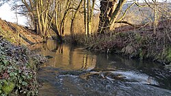 Elbe (Eder) befindet sich von Geismar.jpg