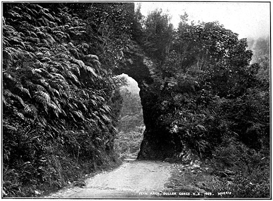 A road going through a very short tunnel/arch cut into a sloping hill, with bush and tree-fern covered cliffs, Buller Gorge