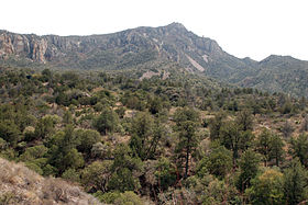 Vue du sommet.