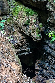 Ellisons Cave Cave in Georgia (US)