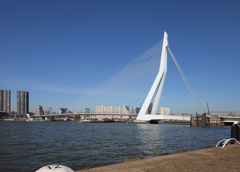 File:Erasmusbrug across the Nieuwe Maas river.jpg