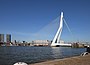 Nieuwe Maas nehri boyunca Erasmusbrug.jpg