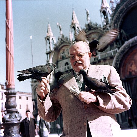 Ernest Hemingway coi piccioni a Piazza San Marco, Venezia 1954