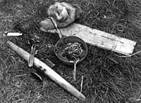 Et skinn og redskap til skinnberedning. Olderdalen, Kåfjord, Troms 1947 - Norsk folkemuseum