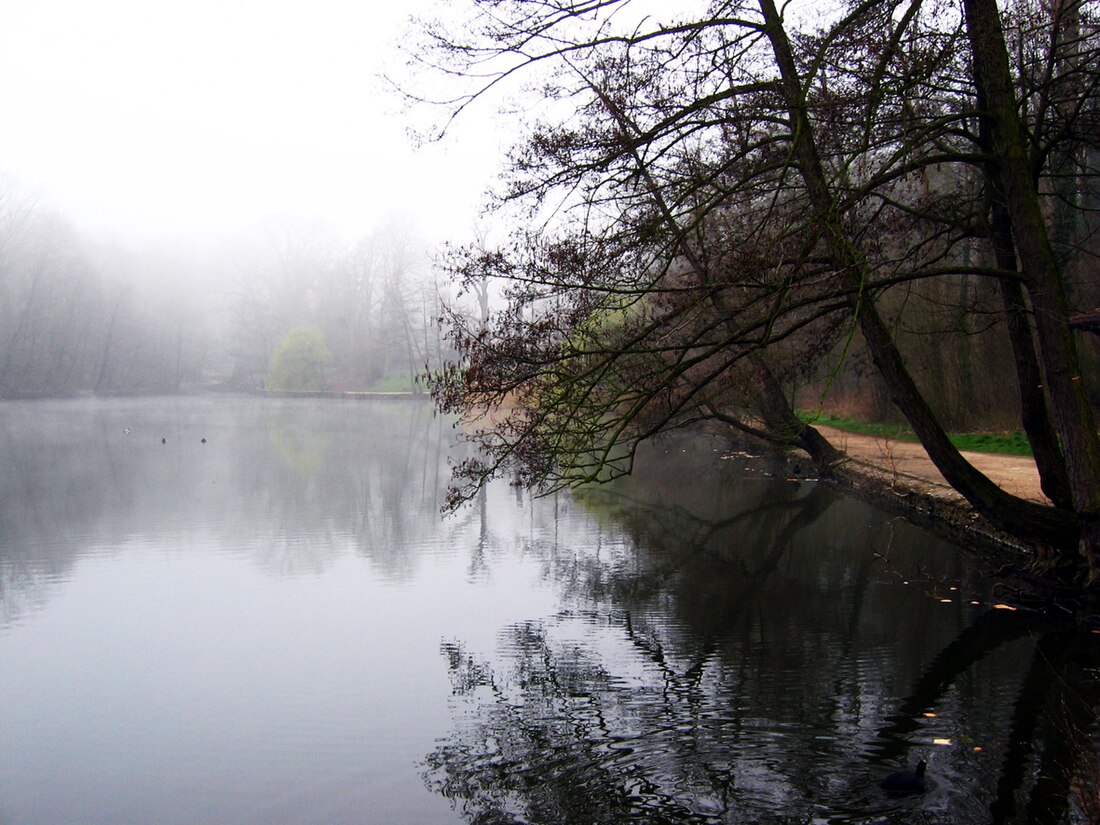 Bois de Saint-Cucufa