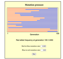 Evolution by mutation pressure. A population of size N = 20 (rows) is transformed over 100 generations (columns) by red-to-blue mutation (u = 0.025). For simplicity, each individual has exactly 1 offspring (thus fitness is the same for red and blue). Simulations from the evolvulator, an online educational tool. Evolution by mutation pressure (u = 0.025, N = 20, reproductive variance = 0).png