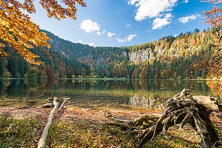 Feldsee Schwarzwald