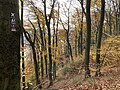 Felshang am Harkortsee