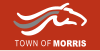 Flag of Morris