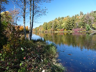 Flambeau River in the Flambeau River State Forest