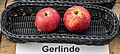 Gerlinde