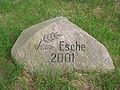 Tree of the year 2001 in Germany: Esche Fraxinus excelsior