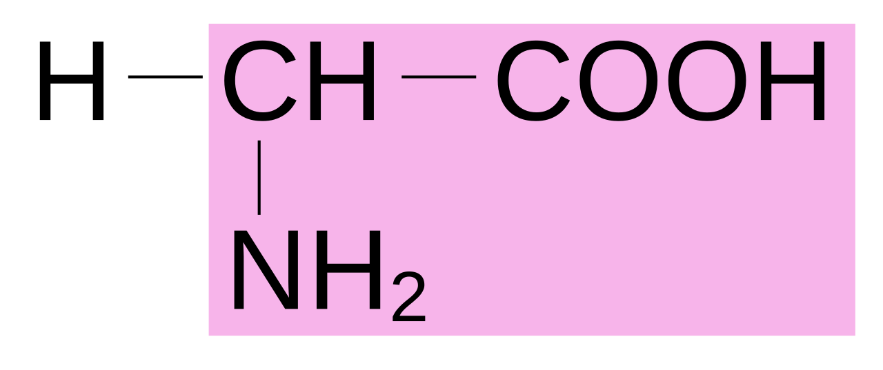 Соон -СН(nh2)-соон. СН - соон nh2 Ch. Nh2-Ch-Cooh. Nh2 группа.