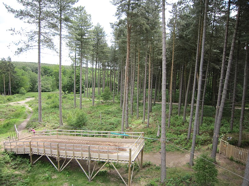 File:Go Ape Cannock Chase - Zip Wire Landing Site - panoramio.jpg