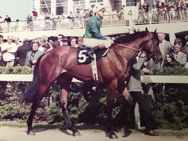 Eddery on 1982 Epsom Derby winner Golden Fleece at Leopardstown