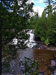 Водопад от цариградско грозде 4.jpg