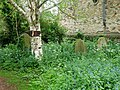 Graves along the south edge of Mill Road Cemetery, Cambridge.