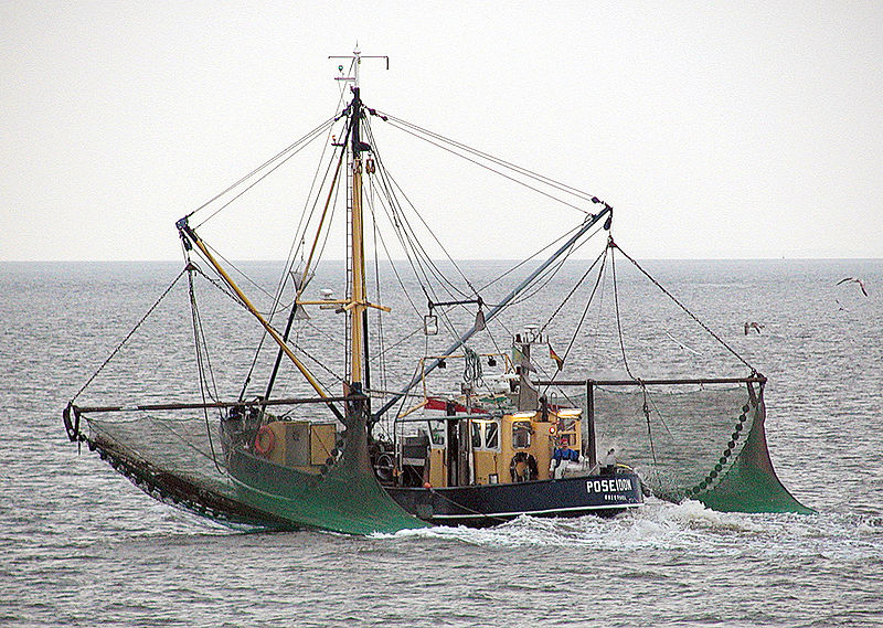 Commercial salmon fishing using big nets in Alaska Bay - Fishermen catch  hundreds of tons on boat 