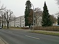 GEWOG settlement;  Millennium settlement in Meißen: row of houses in a settlement with hedges to enclose the front gardens and the surrounding horticultural open space (garden monument)