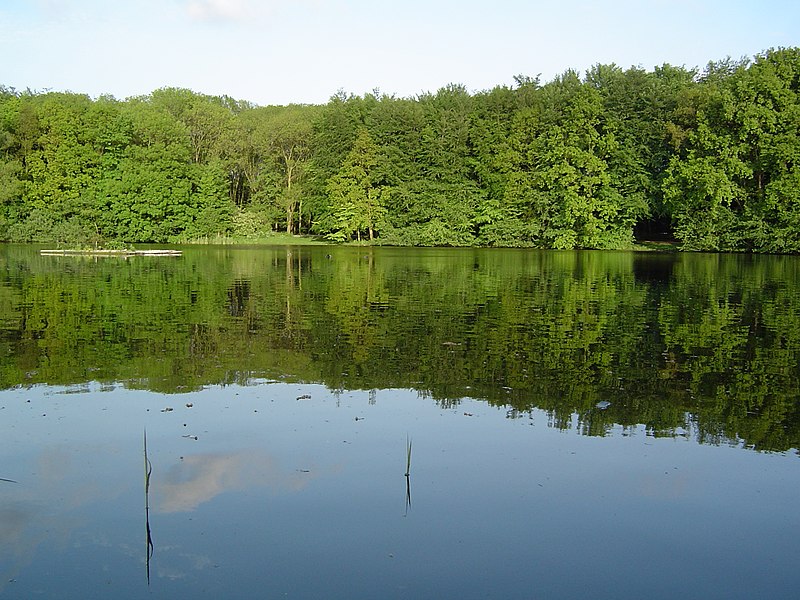 File:Haagse Bos.JPG