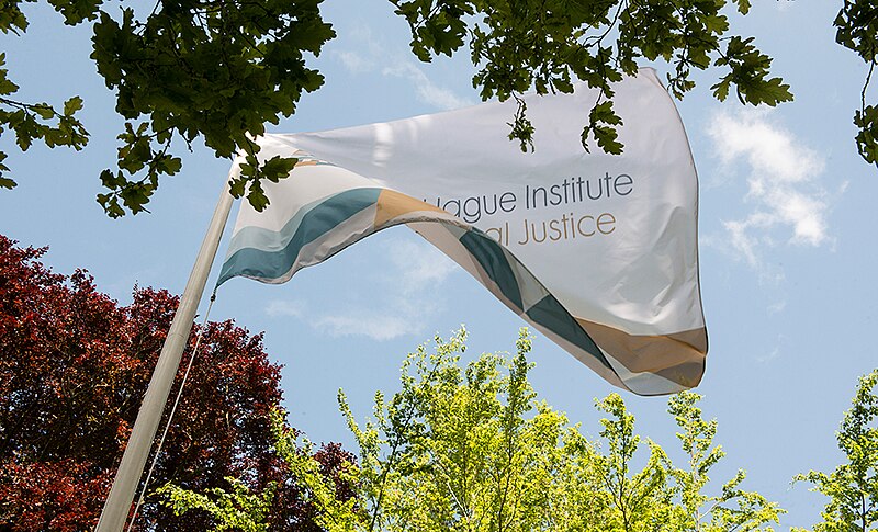 File:Hague Institute Flag.jpg