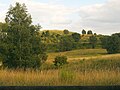 „Neuer Hahneberg“, Blick vom Fuße