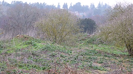 Hankley Farm (1)