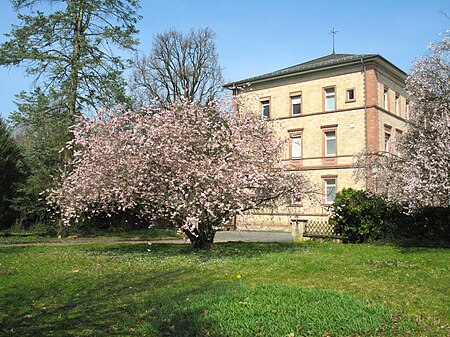 Heppenheim Bergstr Arboretum 005