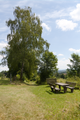 English: Hiking Trail "Felsentour" near Lanzenhain, Herbstein, Vogelsberg, Hesse, Germany