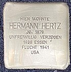 der Stolperstein für Hermann Hertz