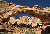 Hickman Bridge Capitol Reef National Park USA.jpg