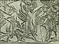 Thumbnail for File:History of Egypt, Chaldea, Syria, Babylonia and Assyria (1903) (14783404833).jpg