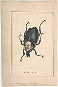 Hum-Bug (P. T. Barnum), from the Comic Natural History of the Human Race MET DP808187.jpg