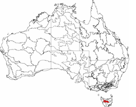 IBRA 6.1 Tierras altas centrales de Tasmania.png