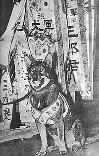 軍犬: 概要, 日本の軍犬, アメリカの軍用犬