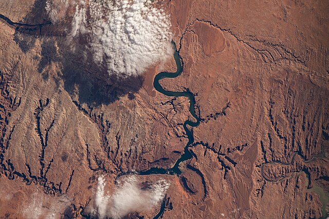 The border between San Juan (right) and Kane (left) counties along Lake Powell, taken July 4, 2022, from the International Space Station