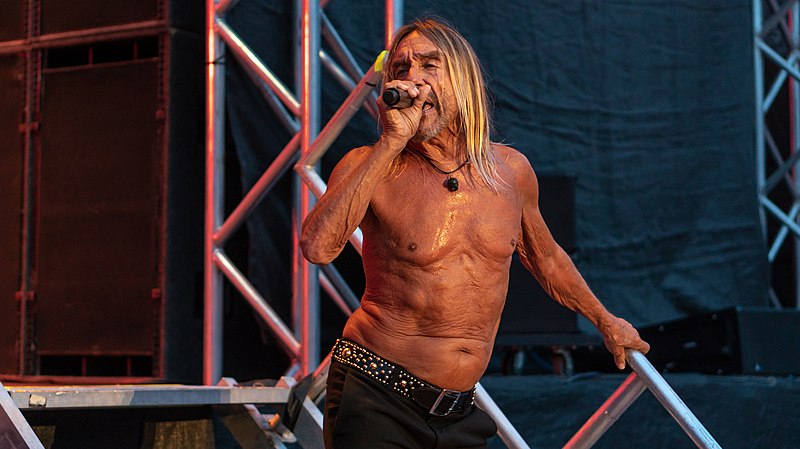 File:Iggy Pop WOWGoth090818-214 (45150606454).jpg