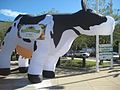 Inflatable Cow.jpg