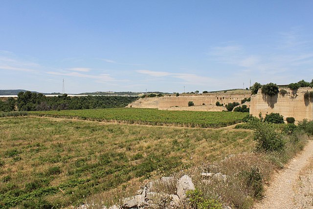 Verdeca is widely grown throughout the Puglia region.