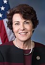 Jacky Rosen official photo 115th congress (cropped).jpg