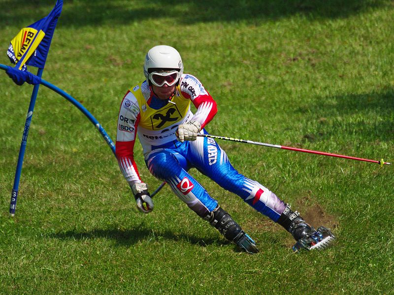 File:Jan Gardavsky Grass Skiing World Championships 2009 Giant Slalom 1.jpg