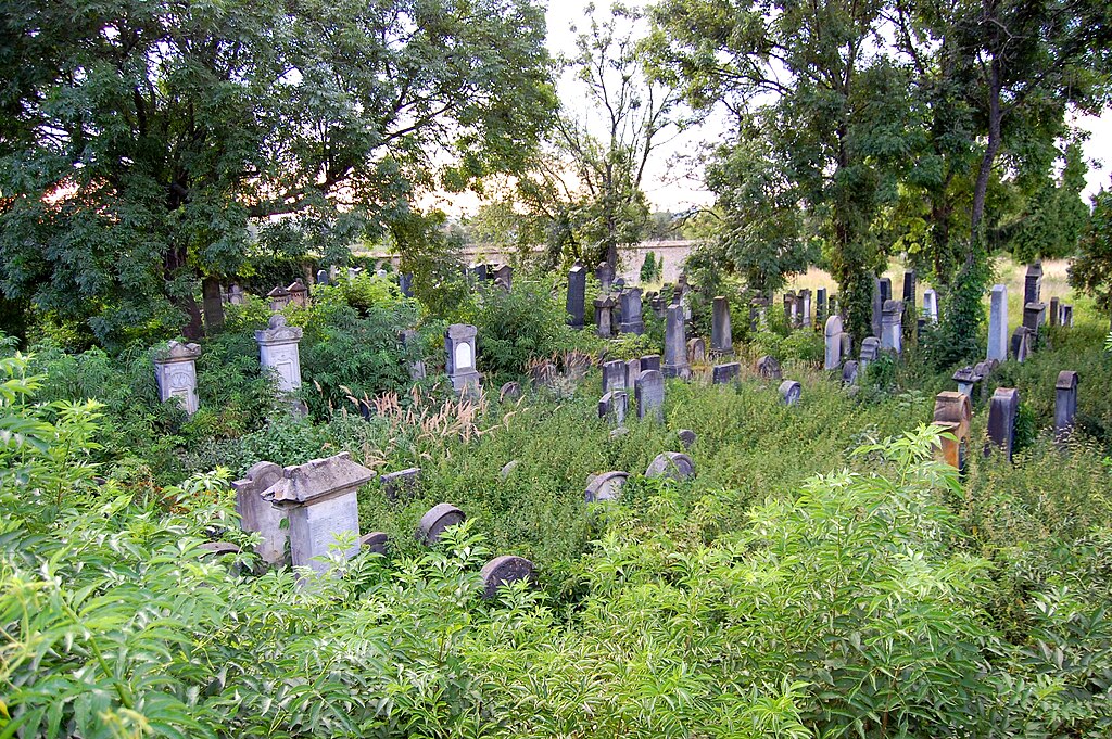 https://upload.wikimedia.org/wikipedia/commons/thumb/5/52/Jewish_cemetery_in_Budyn%C4%9B_nad_Oh%C5%99%C3%AD,_08-2012,_05.JPG/1024px-Jewish_cemetery_in_Budyn%C4%9B_nad_Oh%C5%99%C3%AD,_08-2012,_05.JPG