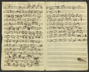 One of the pages in the musical manuscript. You can zoom in to see the tiniest details!