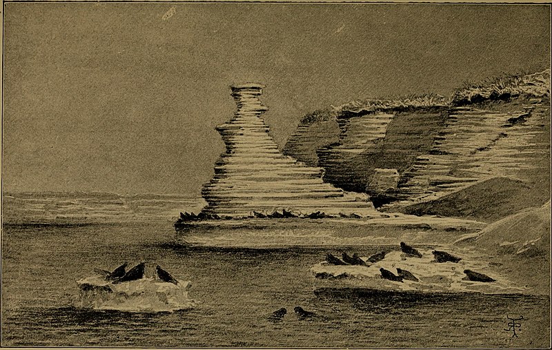 File:Journal of researches into the natural history and geology of the countries visited during the voyage round the world of H.M.S. 'Beagle,' under the command of Captain Fitz Roy (1913) (14580253760).jpg