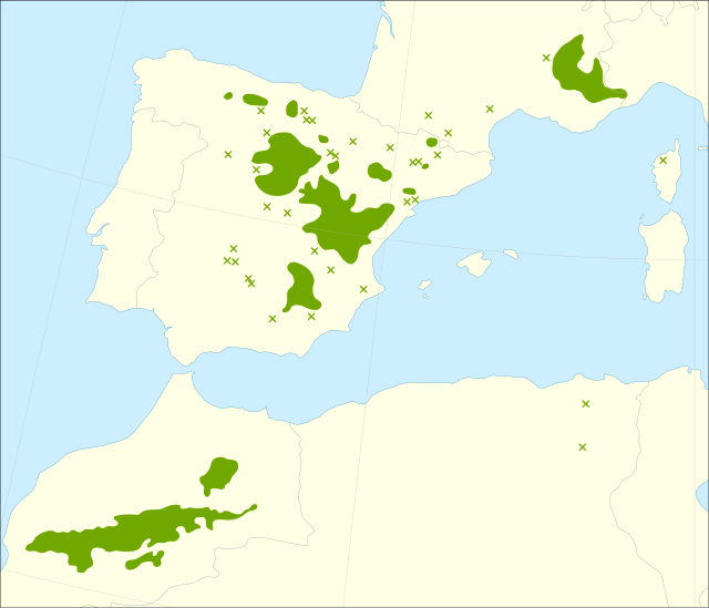 Description de l'image Juniperus thurifera range.svg.