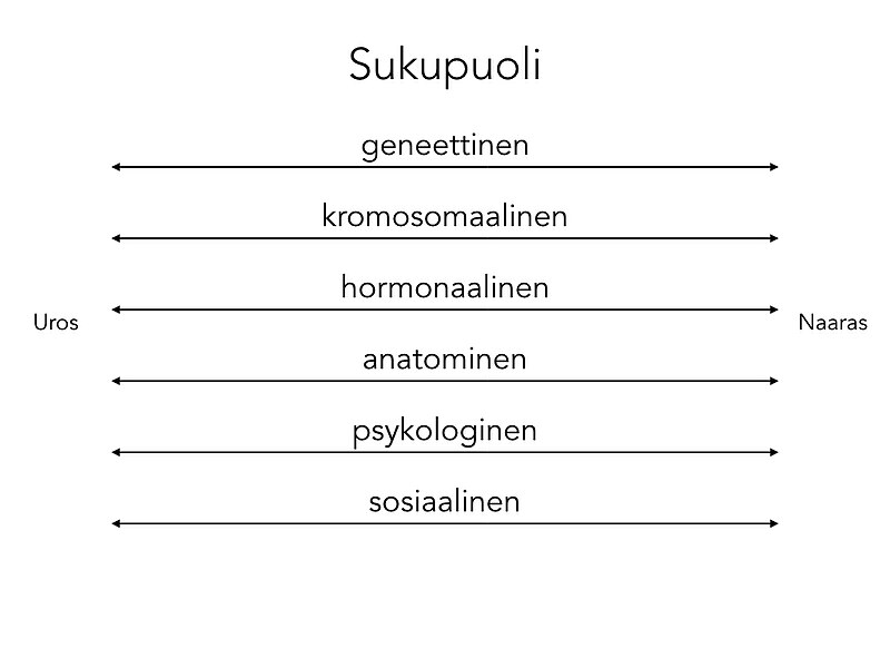 File:KaavakuvaSukupuolesta.001.jpg