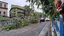 Een omgevallen boom langs de kant van een straat in Kolkata