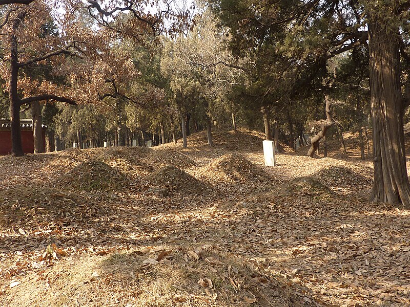 File:Kong Lin - small graves - P1060051.JPG