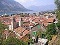 Kotor