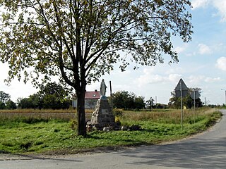 Kotowice, Masovian Voivodeship Village in Masovian, Poland